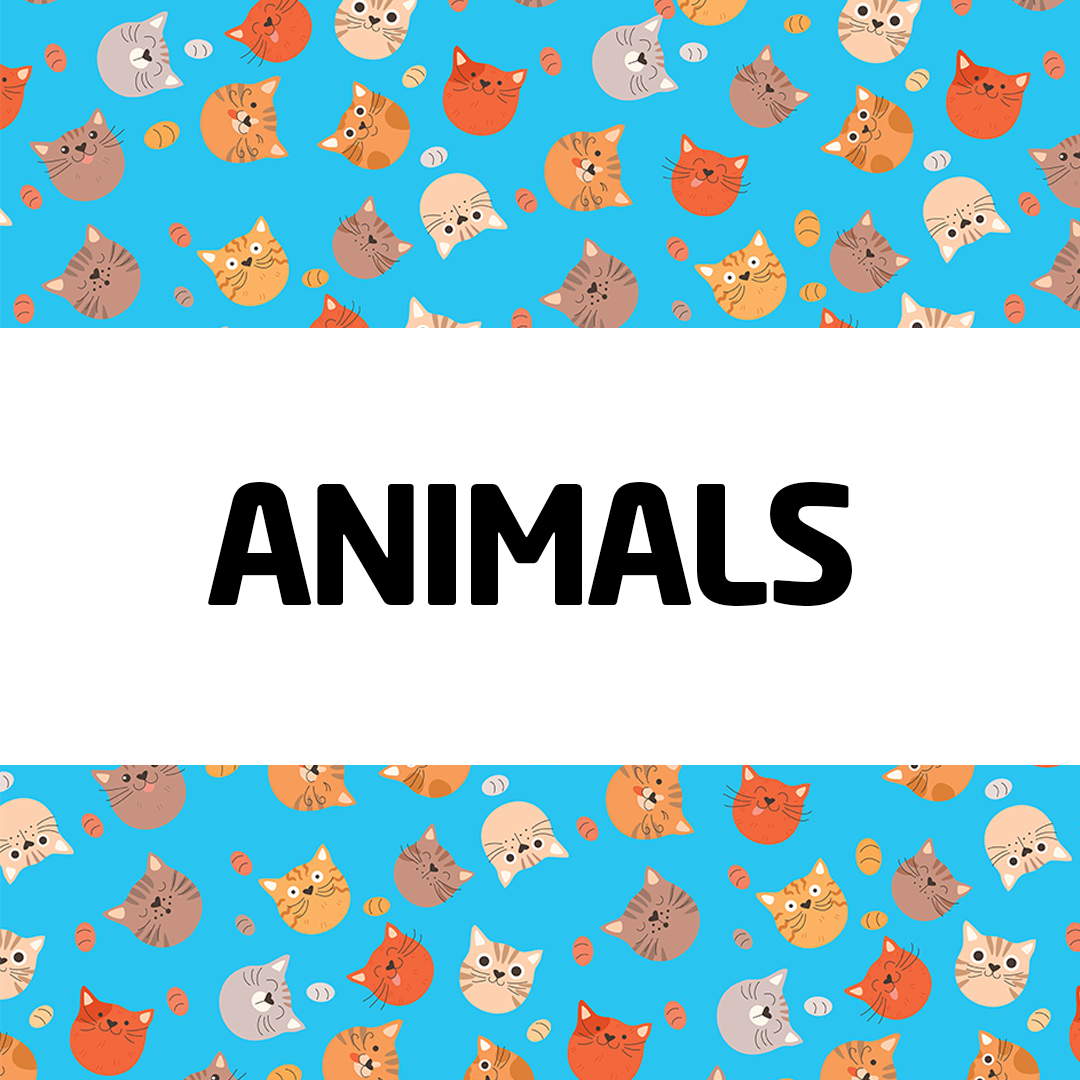 Animals