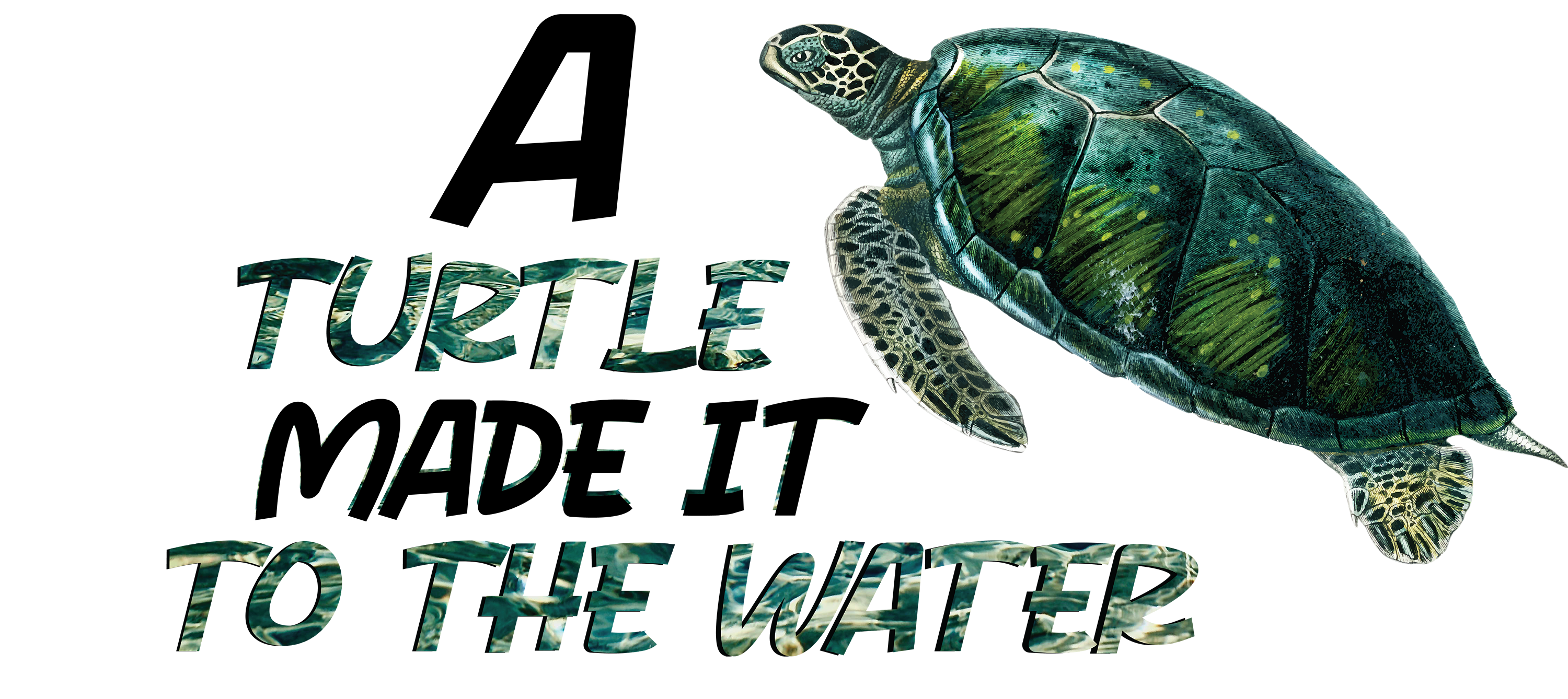 Turtle Made It to the Water Animal Design - Ready to Press